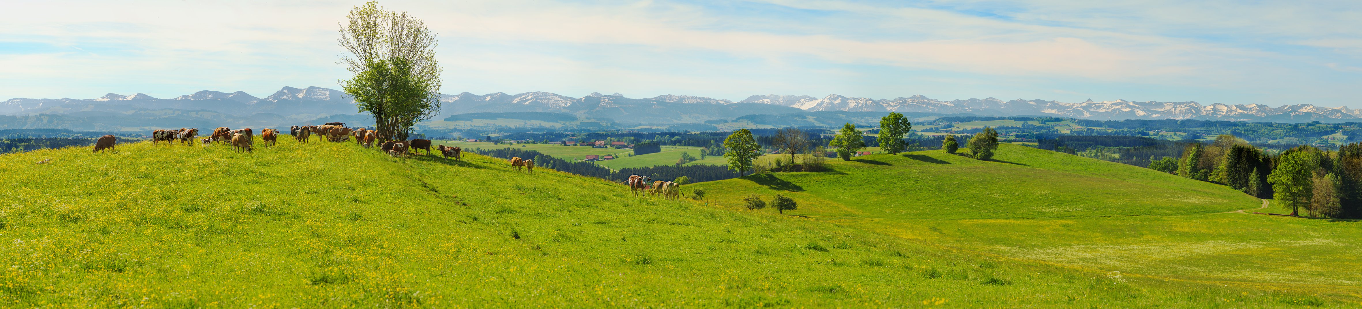 Landratsamt Ravensburg